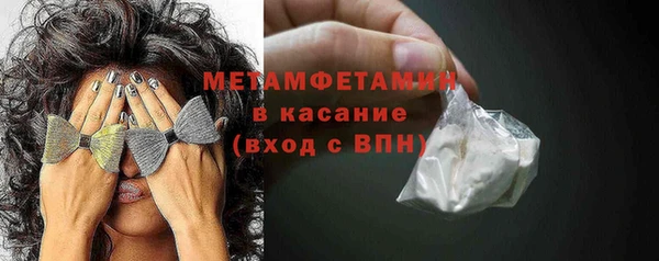 прущие грибы Бородино