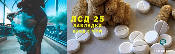 прущие грибы Бородино