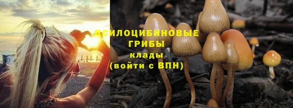 MDMA Premium VHQ Бугульма