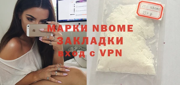 прущие грибы Бородино
