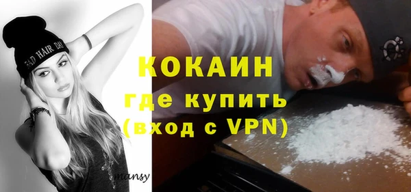 прущие грибы Бородино
