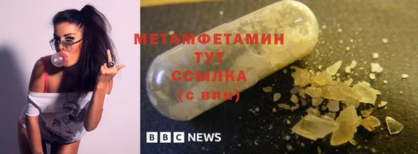 прущие грибы Бородино