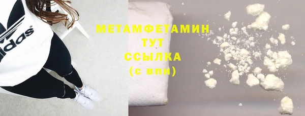 прущие грибы Бородино