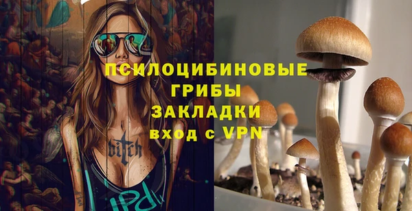 прущие грибы Бородино
