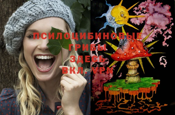ALPHA-PVP Богородицк