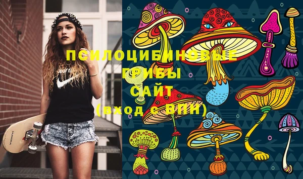 ГАЛЛЮЦИНОГЕННЫЕ ГРИБЫ Богородск