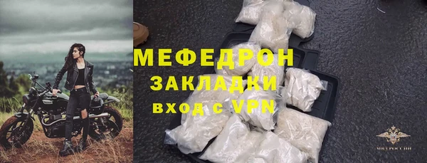 прущие грибы Бородино